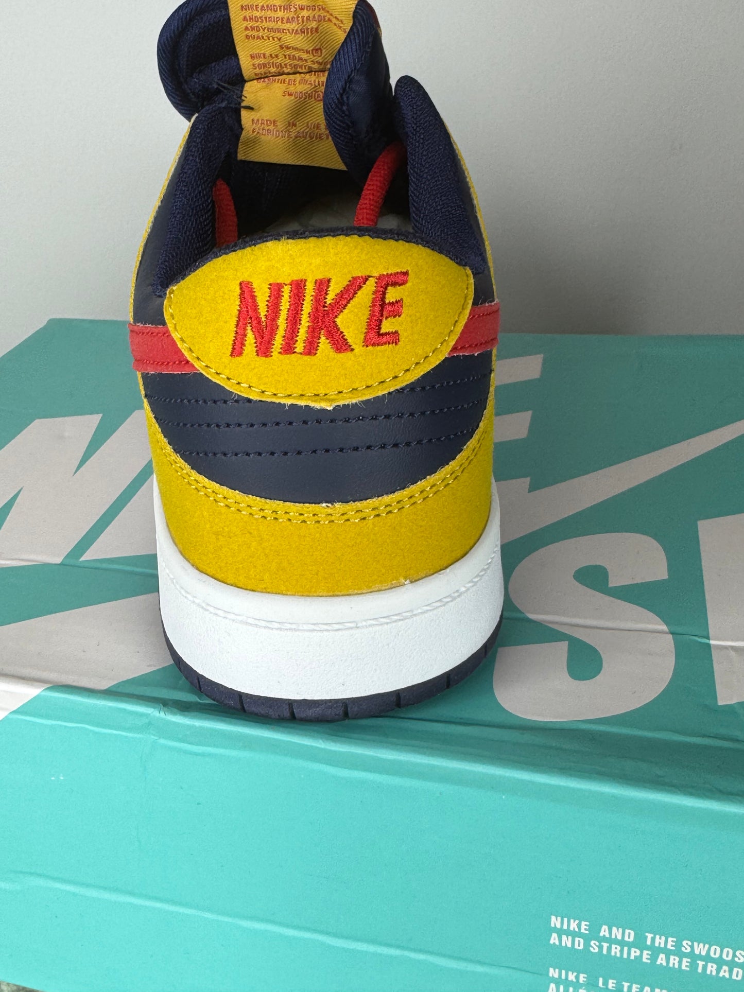Nike SB