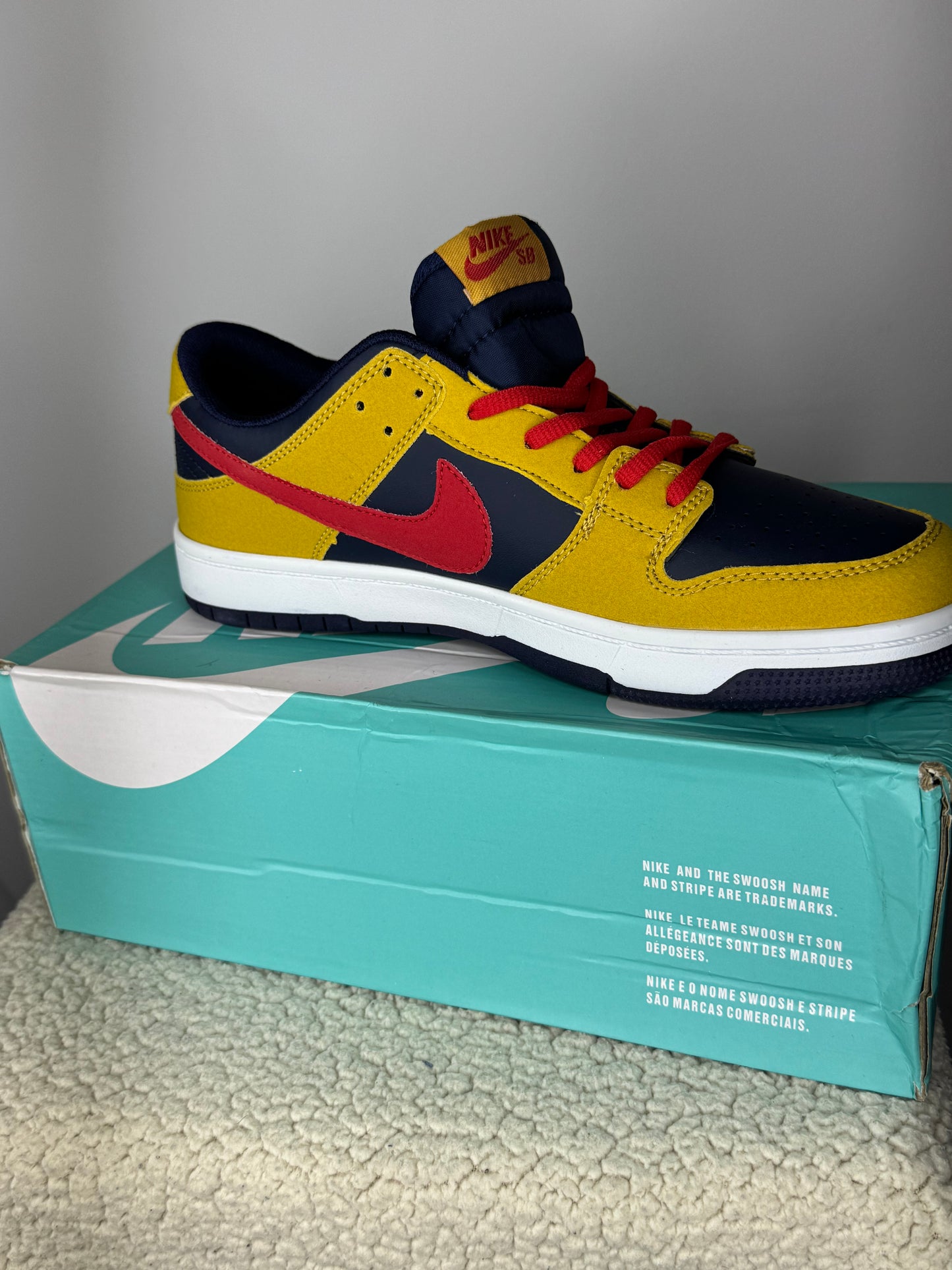 Nike SB